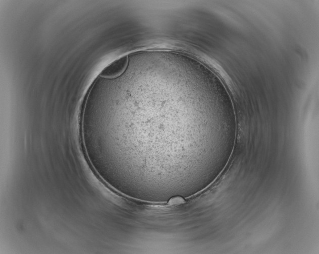 X0000112781483200908271652