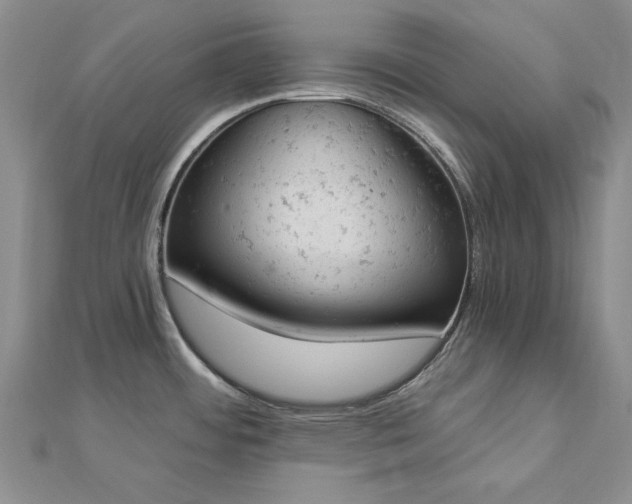 X0000112781484200908271652