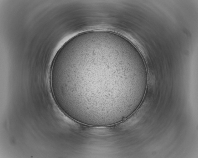 X0000112781486200908271652