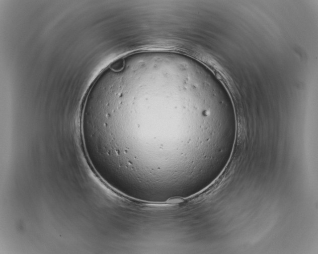 X0000112781487200908271652