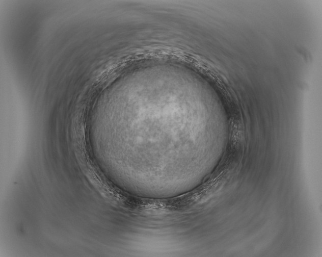 X0000112781489200908271652