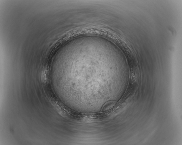 X0000112781490200908271652