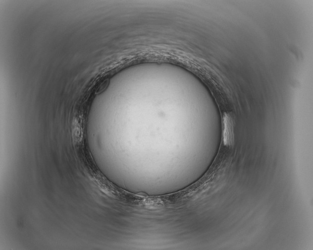 X0000112781491200908271652