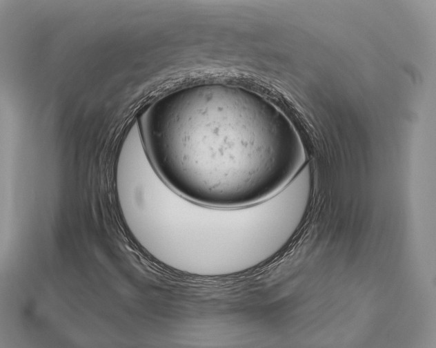 X0000112781492200908271652