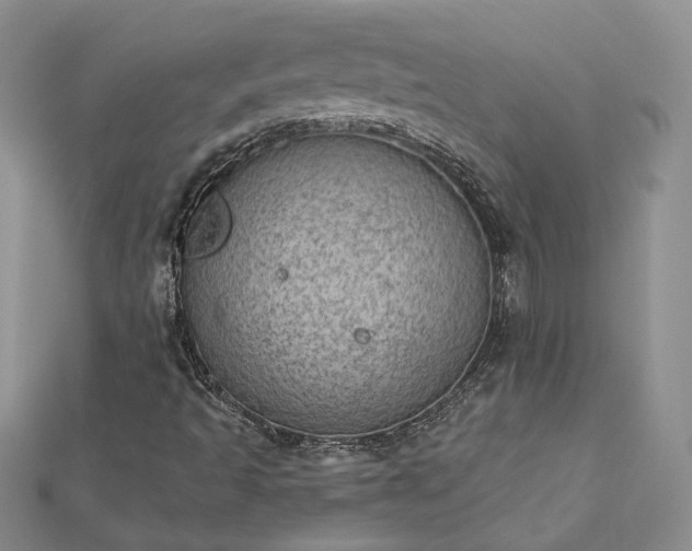 X0000112781493200908271652