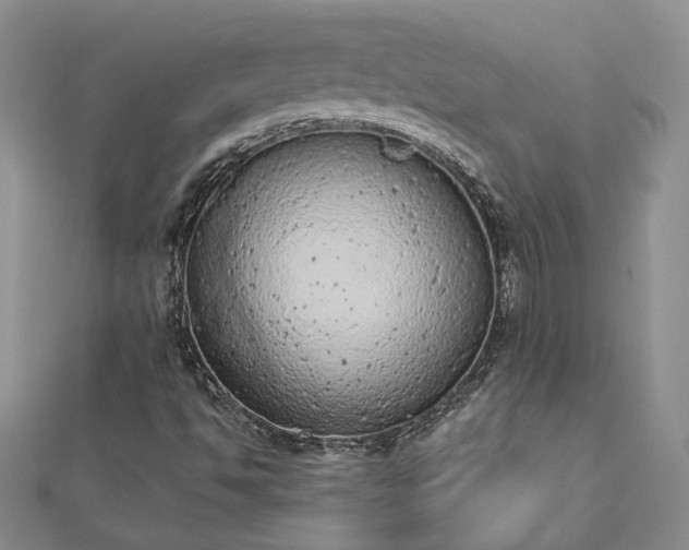 X0000112781494200908271652