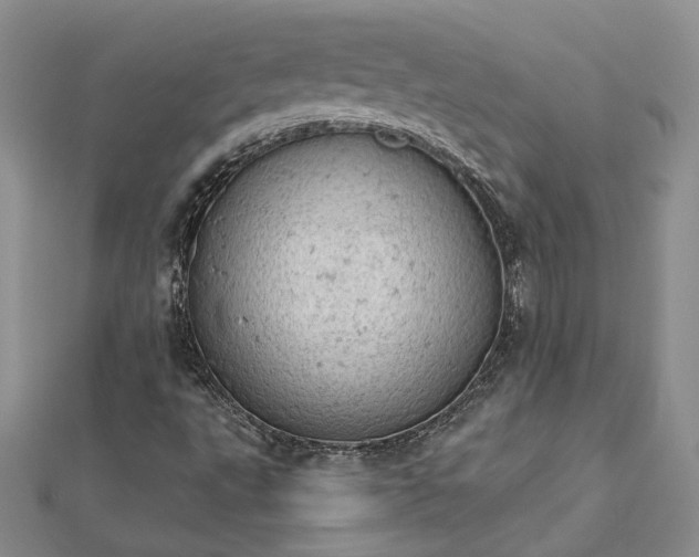 X0000112781495200908271652