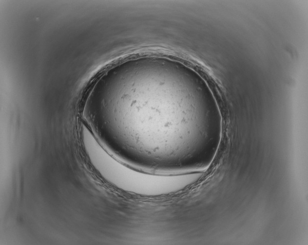 X0000112781496200908271652