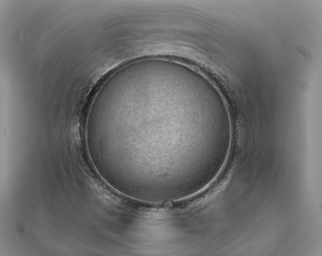 X0000112781497200908271652