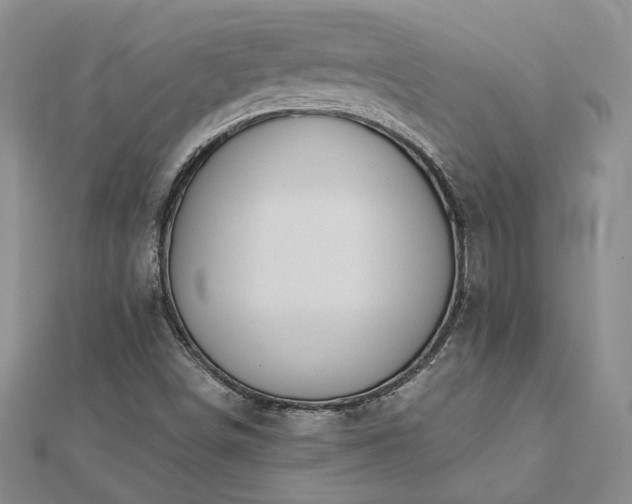 X0000112781498200908271652