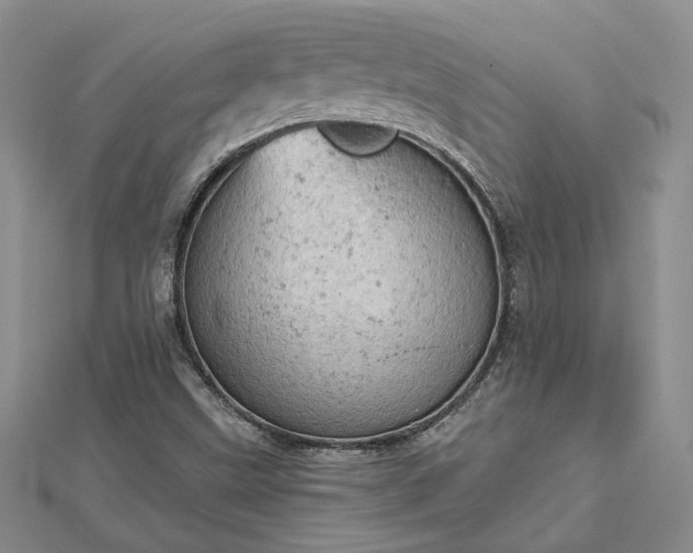 X0000112781499200908271652