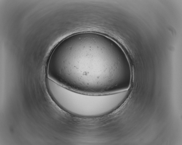 X0000112781500200908271652