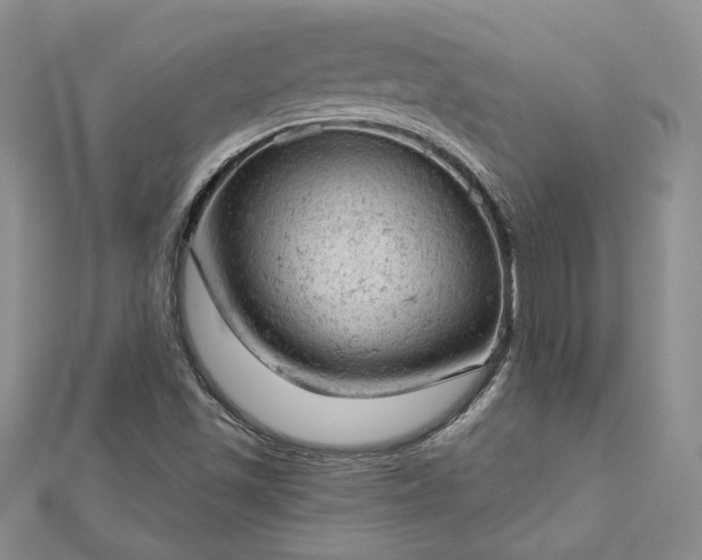 X0000112781501200908271652