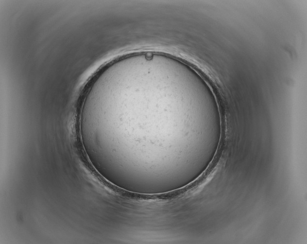 X0000112781502200908271652