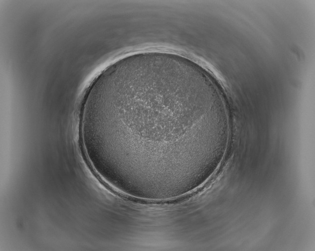 X0000112781504200908271652