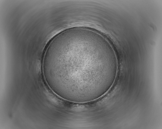 X0000112781505200908271652