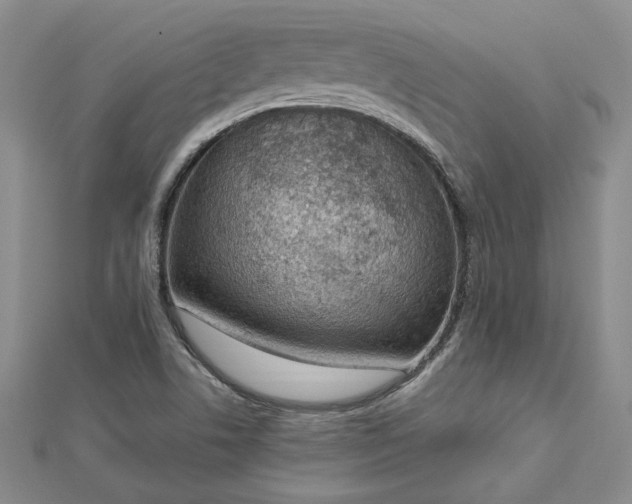 X0000112781506200908271652