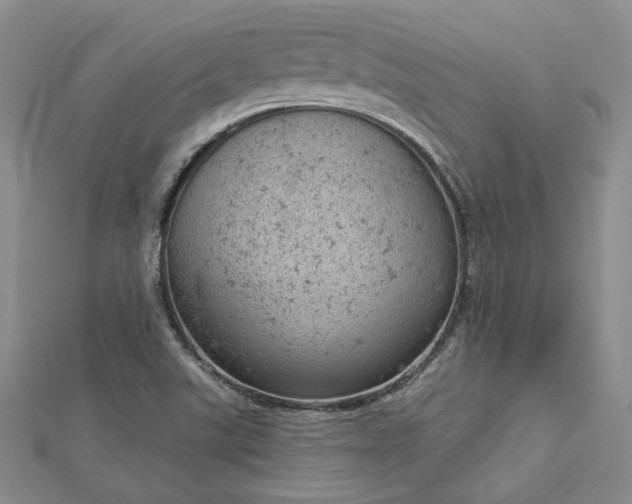 X0000112781507200908271652