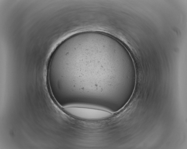 X0000112781508200908271652