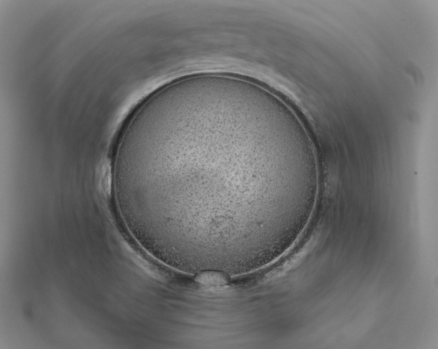 X0000112781509200908271652