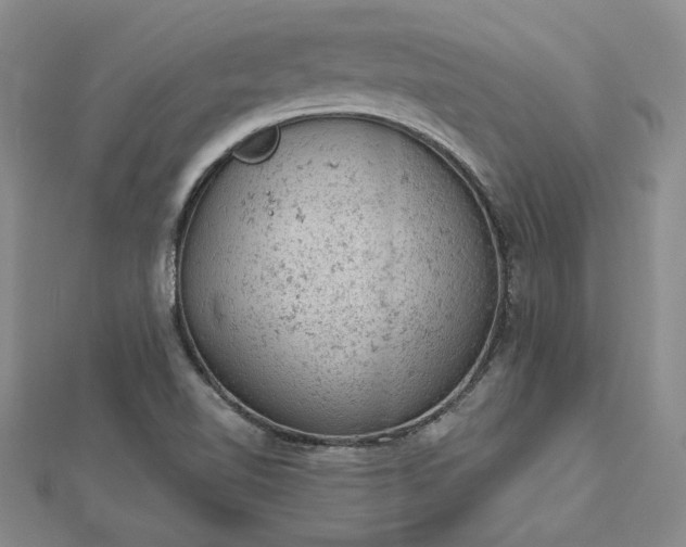 X0000112781510200908271652