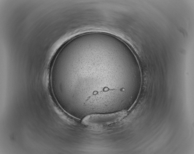 X0000112781511200908271652