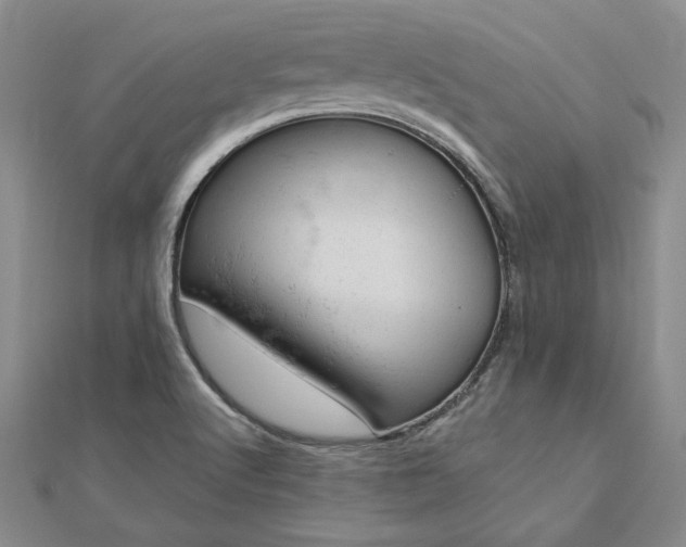 X0000112781512200908271652