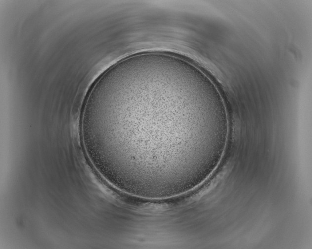 X0000112781513200908271652