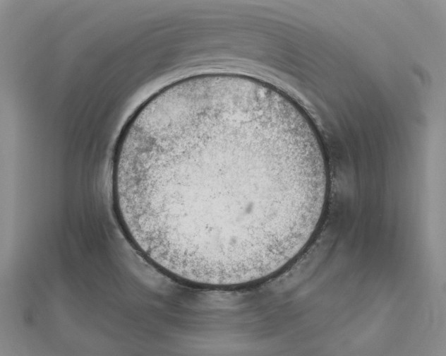 X0000112781514200908271652