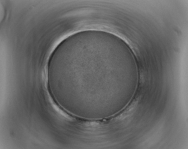 X0000112781515200908271652