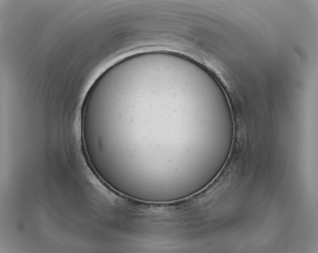 X0000112781516200908271652