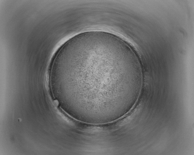 X0000112781517200908271652