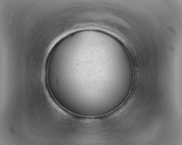 X0000112781518200908271652