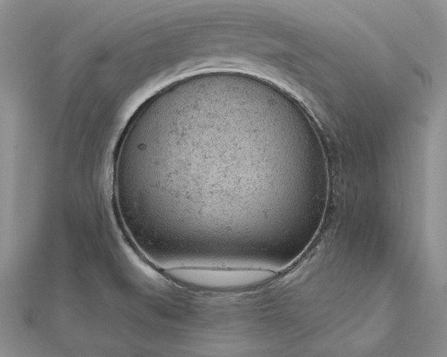 X0000112781519200908271652