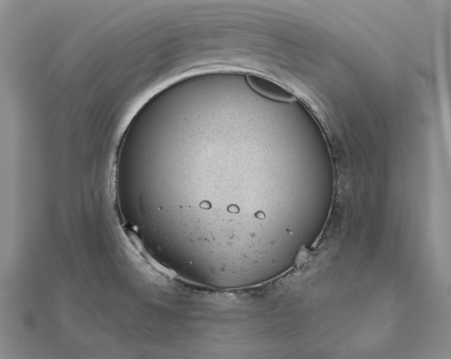 X0000112781524200908271652