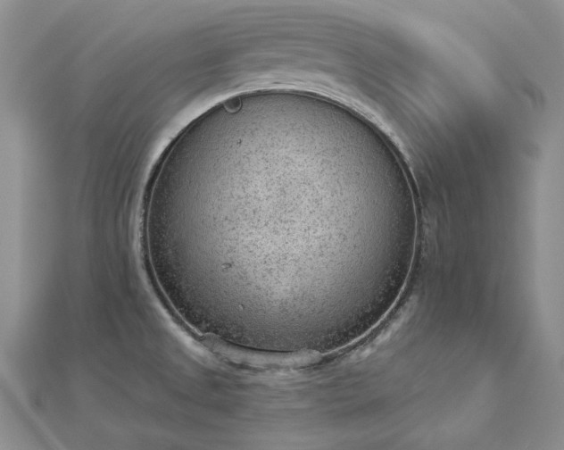 X0000112781525200908271652