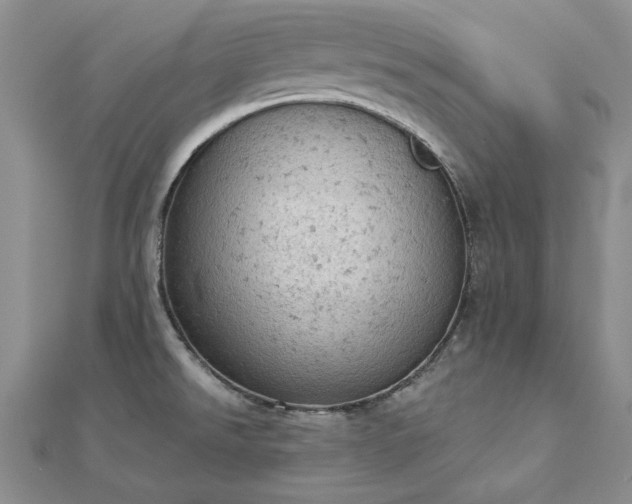 X0000112781526200908271652