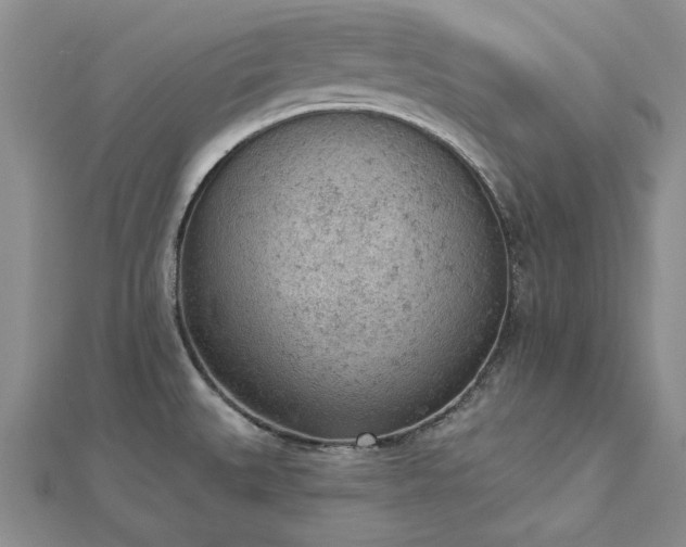 X0000112781527200908271652