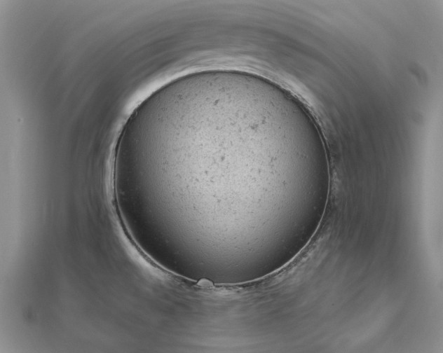 X0000112781528200908271652