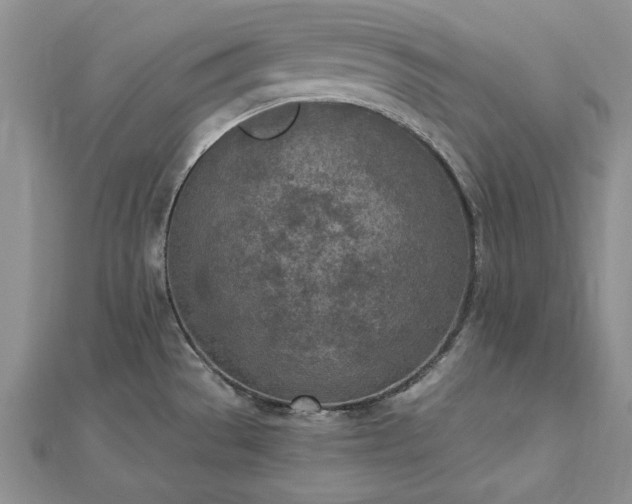 X0000112781529200908271652