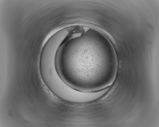 X0000112781530200908271652