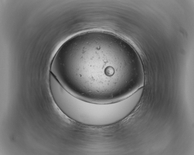 X0000112781532200908271652