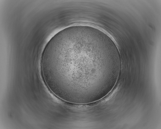 X0000112781533200908271652