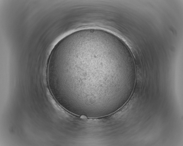 X0000112781534200908271652