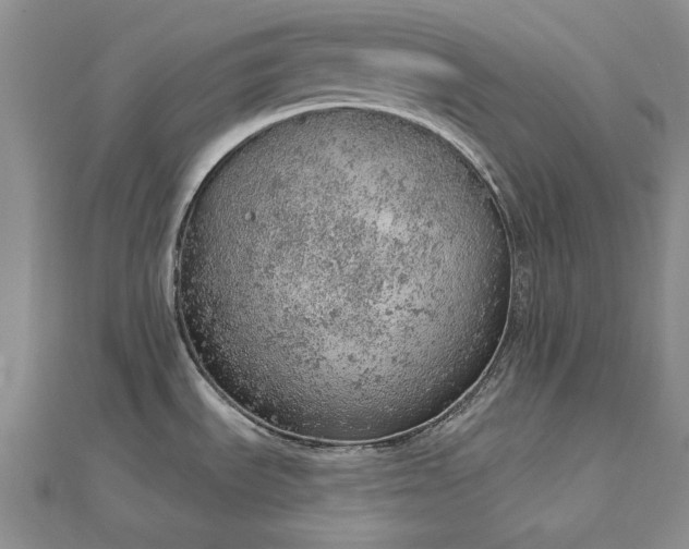 X0000112781535200908271652