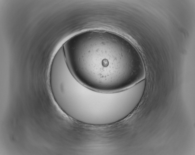 X0000112781536200908271652