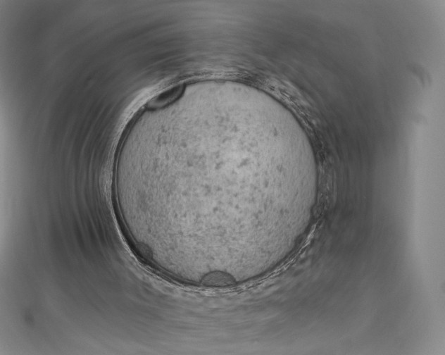 X0000112780003200909031637