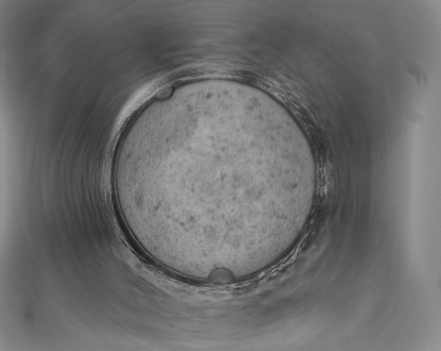 X0000112780004200909031637