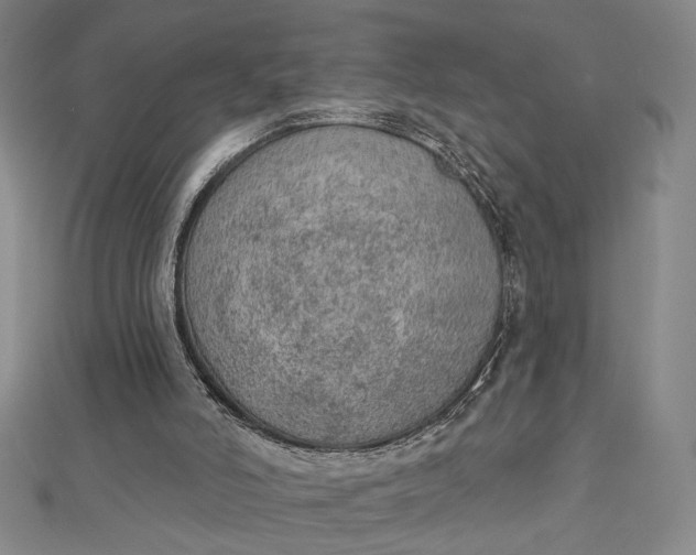 X0000112780006200909031637