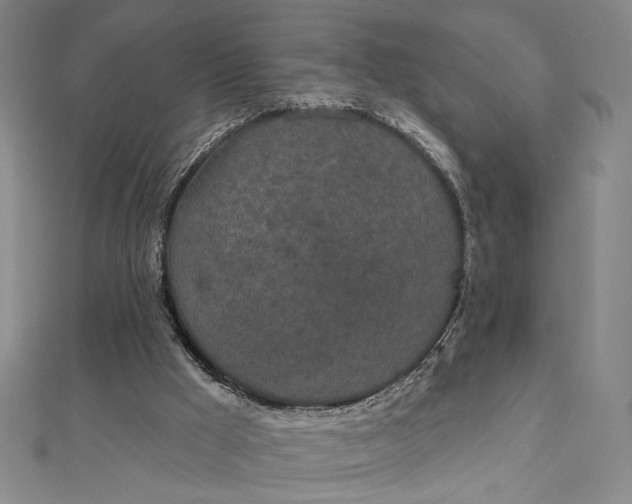 X0000112780009200909031637